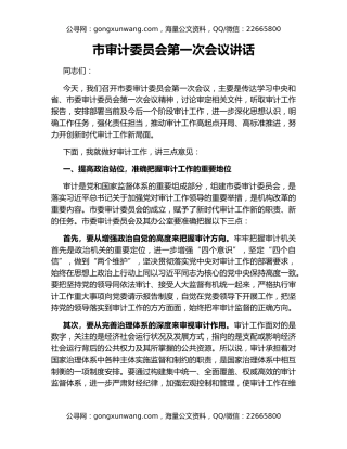 市审计委员会第一次会议讲话