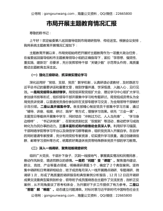 市局开展主题教育情况汇报