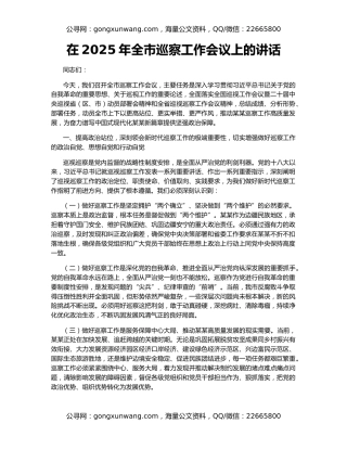 在2025年全市巡察工作会议上的讲话