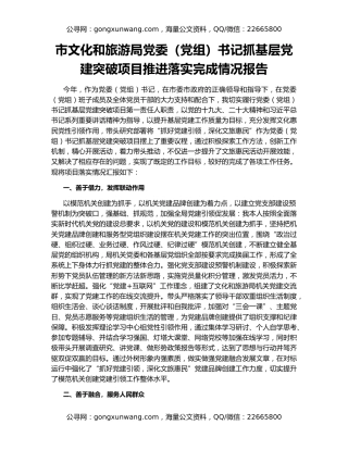 市文化和旅游局党委（党组）书记抓基层党建突破项目推进落实完成情况报告