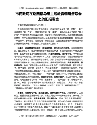 市民政局在巡回指导组主题教育调研督导会上的汇报发言