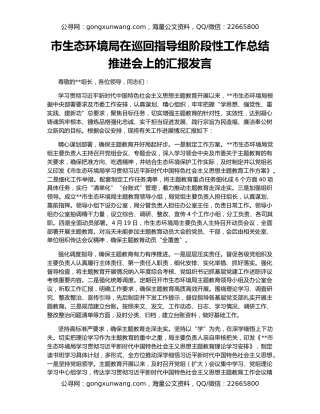 市生态环境局在巡回指导组阶段性工作总结推进会上的汇报发言