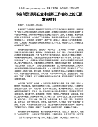 市自然资源局在全市组织工作会议上的汇报发言材料