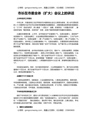市长在市委全体（扩大）会议上的讲话