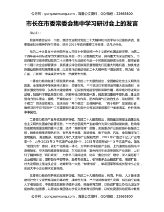 市长在市委常委会集中学习研讨会上的发言