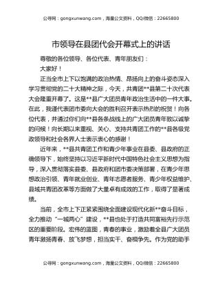 市领导在县团代会开幕式上的讲话
