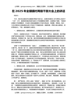 在2025年全镇镇村两级干部大会上的讲话