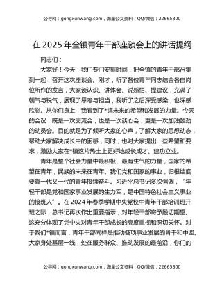 在2025年全镇青年干部座谈会上的讲话提纲