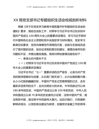 XX局党支部书记专题组织生活会检视剖析材料