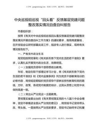 中央巡视组巡视“回头看”反馈基层党建问题整改落实情况自查自纠报告