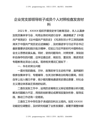 企业党支部领导班子成员个人对照检查发言材料