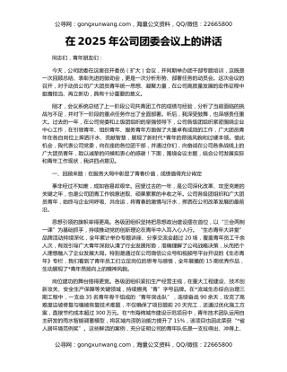 在2025年公司团委会议上的讲话