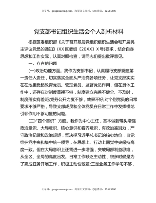 党支部书记组织生活会个人剖析材料