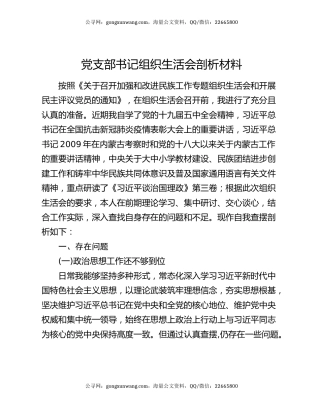 党支部书记组织生活会剖析材料