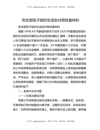 党支部班子组织生活会对照检查材料