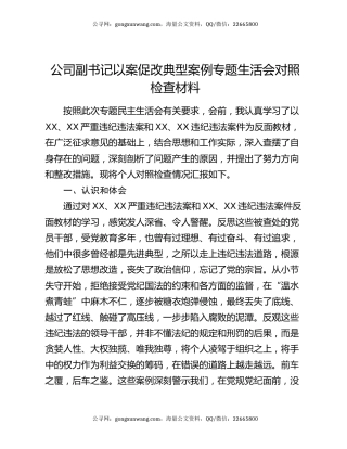 公司副书记以案促改典型案例专题生活会对照检查材料