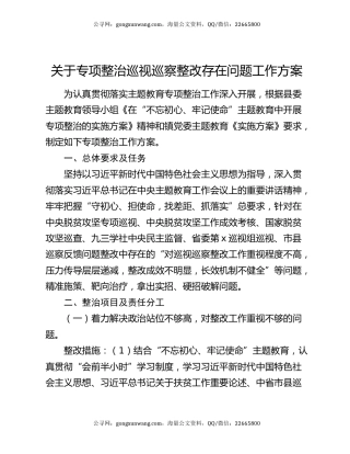 关于专项整治巡视巡察整改存在问题工作方案