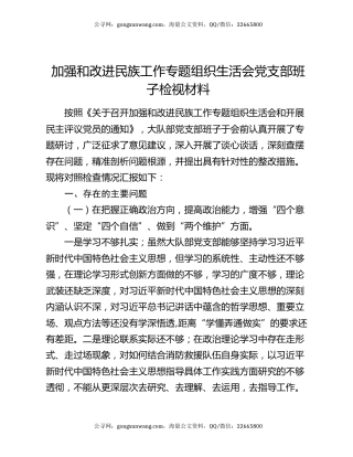 加强和改进民族工作专题组织生活会党支部班子检视材料
