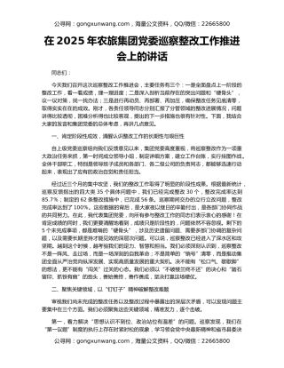 在2025年农旅集团党委巡察整改工作推进会上的讲话