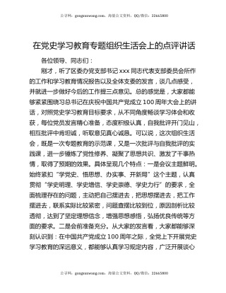 在党史学习教育专题组织生活会上的点评讲话