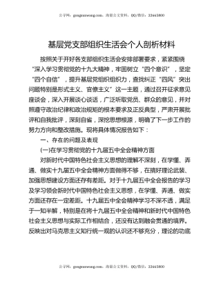 基层党支部组织生活会个人剖析材料