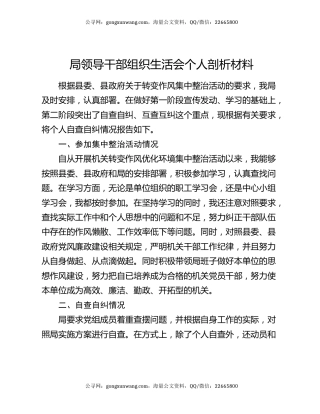 局领导干部组织生活会个人剖析材料