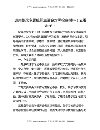 巡察整改专题组织生活会对照检查材料（支委班子）