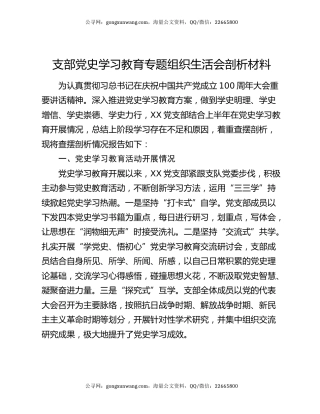 支部党史学习教育专题组织生活会剖析材料