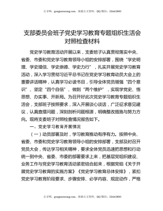 支部委员会班子党史学习教育专题组织生活会对照检查材料