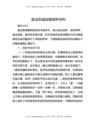 政治忠诚自我剖析材料