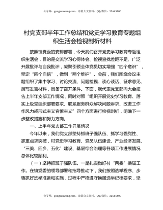 村党支部半年工作总结和党史学习教育专题组织生活会检视剖析材料