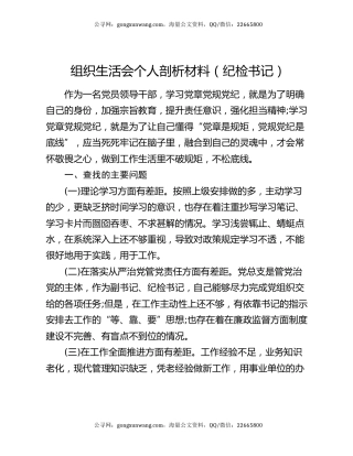 组织生活会个人剖析材料（纪检书记）