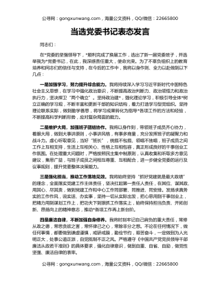 当选党委书记表态发言