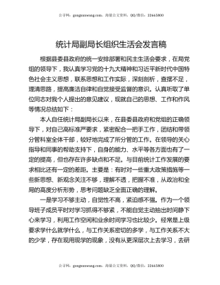 统计局副局长组织生活会发言稿