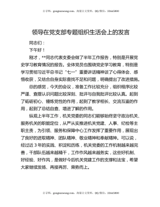 领导在党支部专题组织生活会上的发言