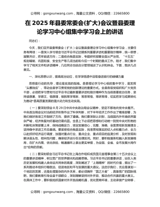 在2025年县委常委会(扩大)会议暨县委理论学习中心组集中学习会上的讲话
