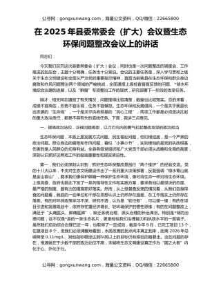 在2025年县委常委会（扩大）会议暨生态环保问题整改会议上的讲话