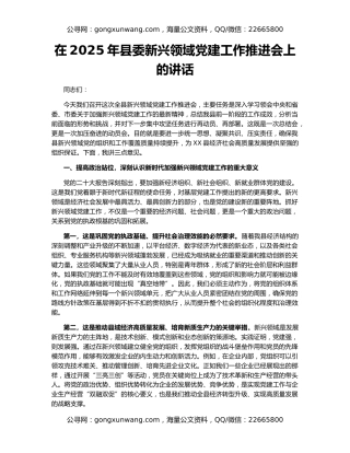 在2025年县委新兴领域党建工作推进会上的讲话