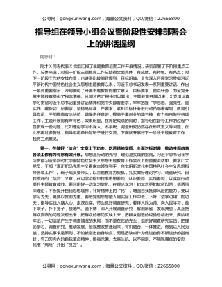 指导组在领导小组会议暨阶段性安排部署会上的讲话提纲
