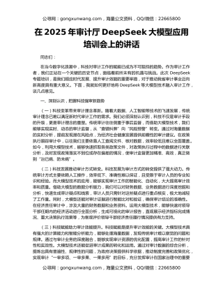 在2025年审计厅DeepSeek大模型应用培训会上的讲话