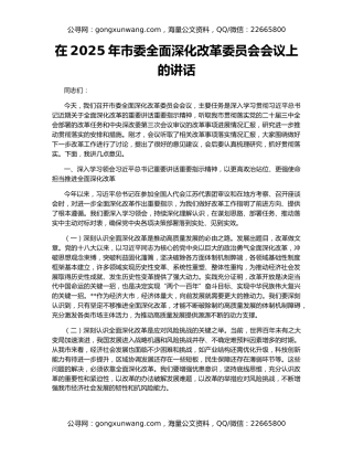 在2025年市委全面深化改革委员会会议上的讲话（2）