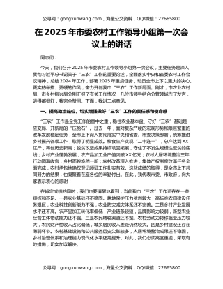 在2025年市委农村工作领导小组第一次会议上的讲话