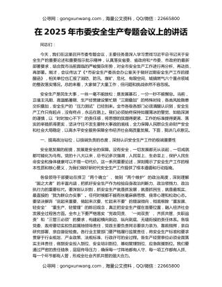 在2025年市委安全生产专题会议上的讲话