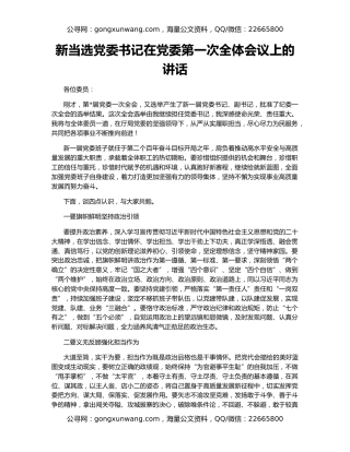 新当选党委书记在党委第一次全体会议上的讲话