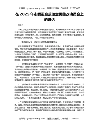 在2025年市委巡查反馈意见整改动员会上的讲话
