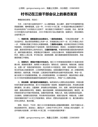村书记在三级干部会议上的表态发言