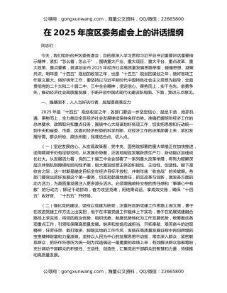 在2025年度区委务虚会上的讲话提纲