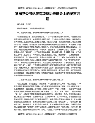 某局党委书记在专项整治推进会上的发言讲话