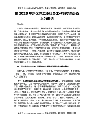 在2025年新区党工委社会工作部专题会议上的讲话