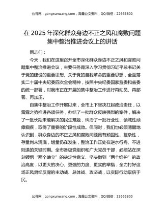 在2025年深化群众身边不正之风和腐败问题集中整治推进会议上的讲话